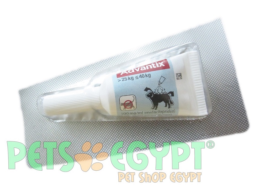 1 Dose x Advantix for dogs 25kg PetsEgypt